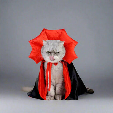 Cat Costumes – Cosplay Vampire Cloak for Cats, Kittens, and Small Dogs - Teiin