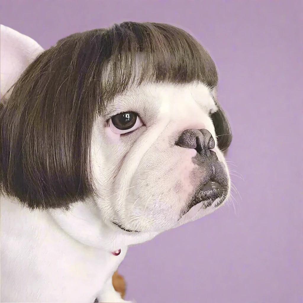 Funny puppy Wigs - Teiin