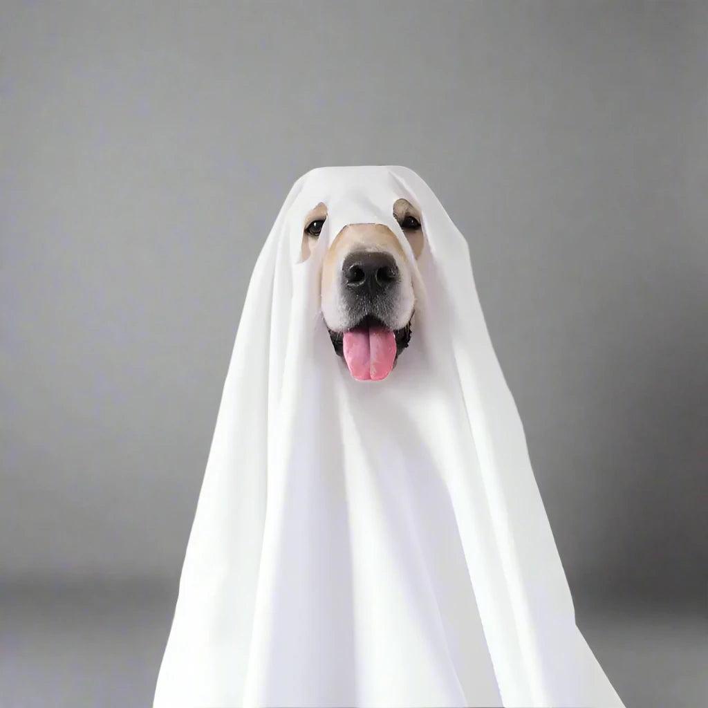 Ghost Pet Cloak Dog Cosplay Costume - Teiin