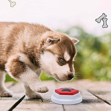 Recordable Talking Button for Dogs - Teiin